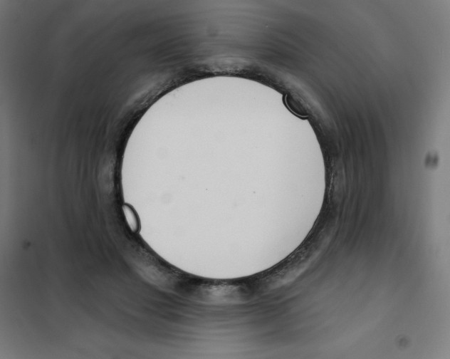 X0000101400501200808041044