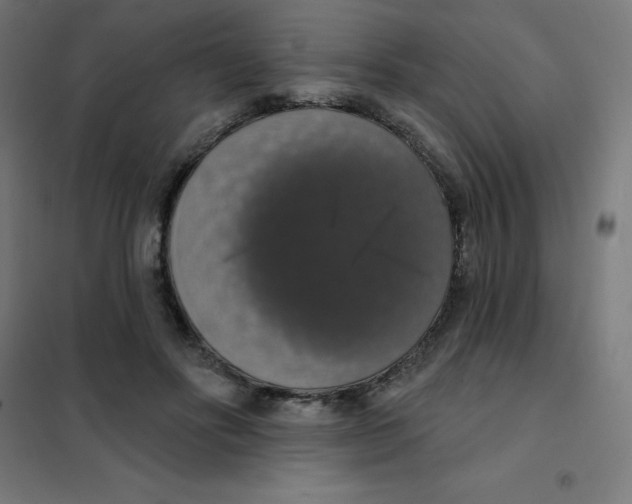 X0000101400502200808041044