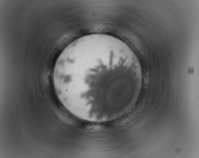 X0000101400503200808041044