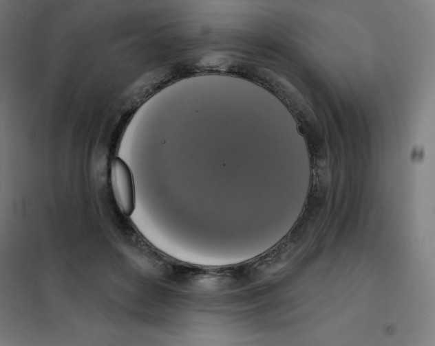 X0000101400504200808041044