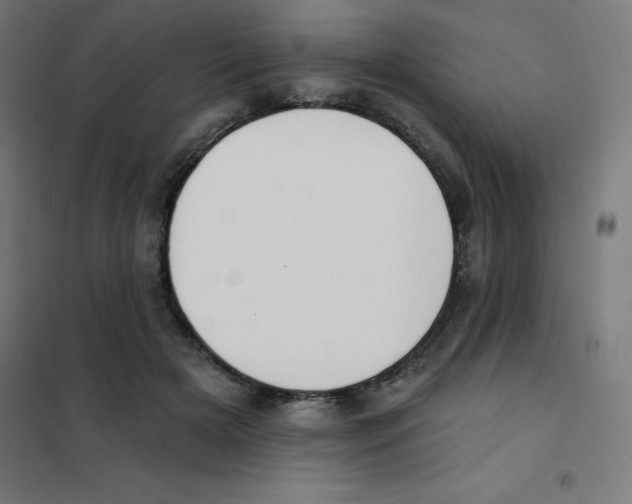 X0000101400505200808041044