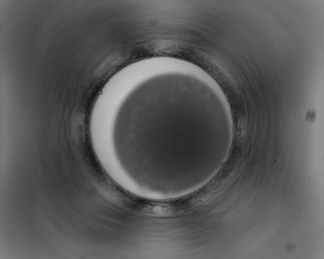 X0000101400506200808041044