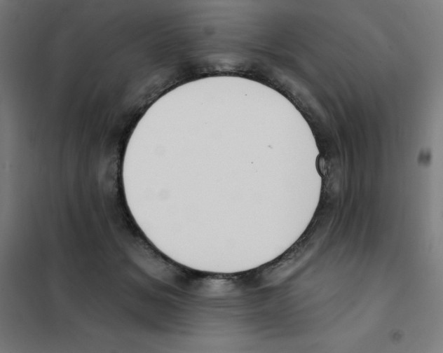 X0000101400509200808041044