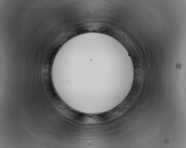 X0000101400510200808041044