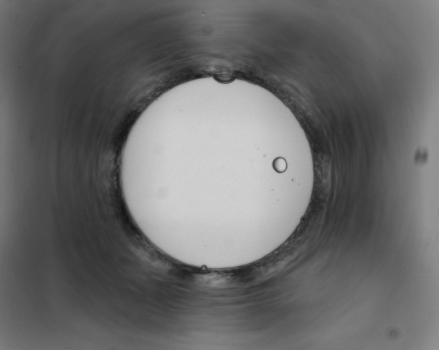 X0000101400511200808041044