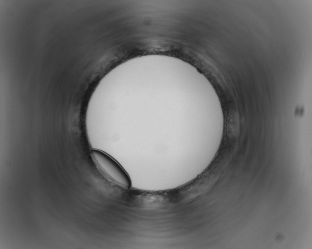 X0000101400512200808041044