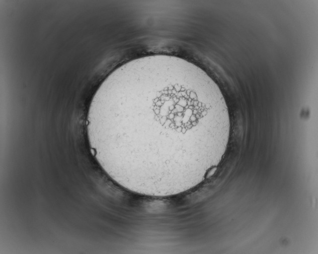 X0000101400513200808041044