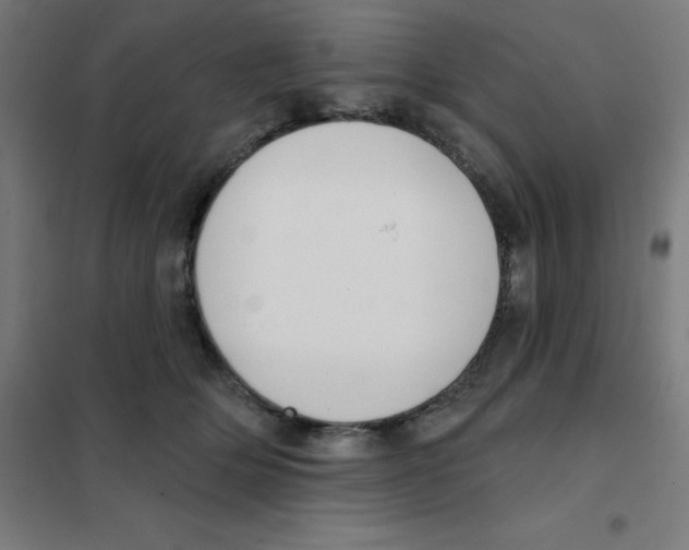 X0000101400514200808041044