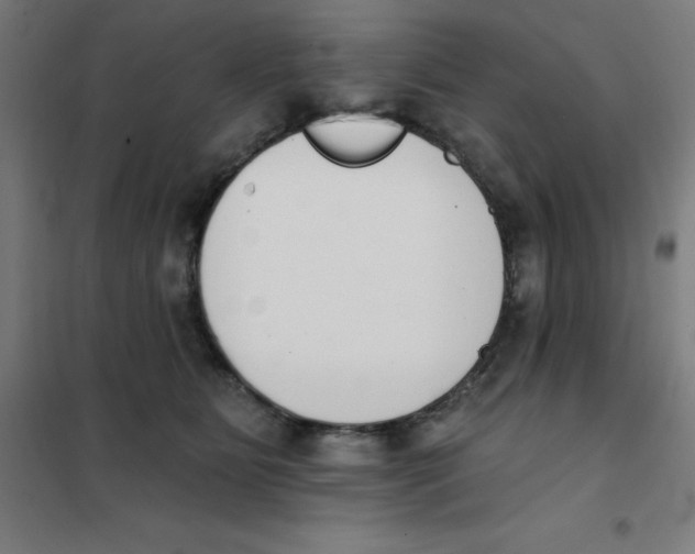 X0000101400515200808041044