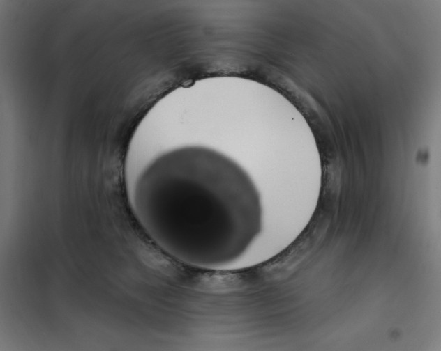 X0000101400517200808041044