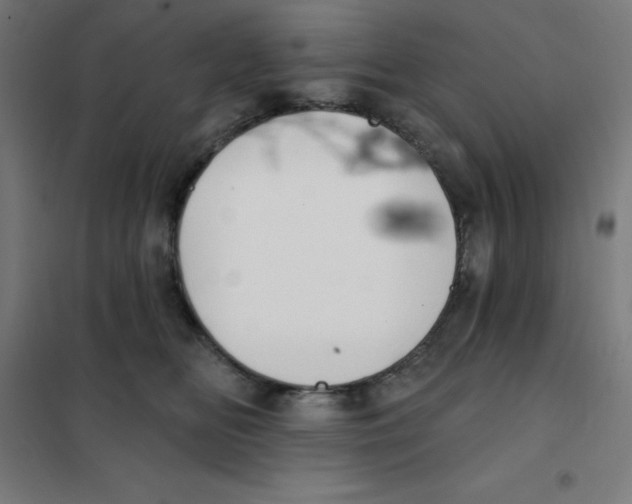 X0000101400518200808041044