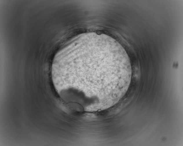 X0000101400519200808041044