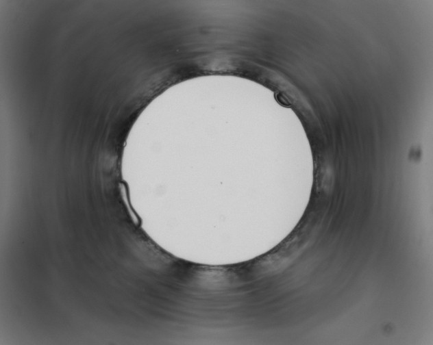 X0000101400521200808041044