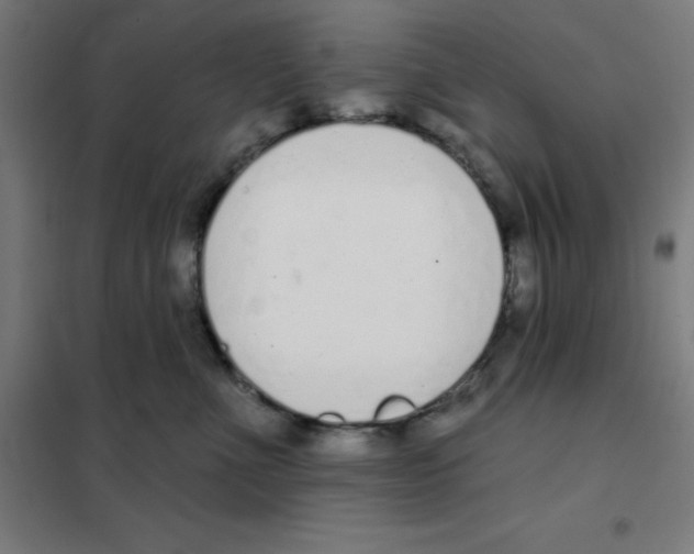 X0000101400523200808041044