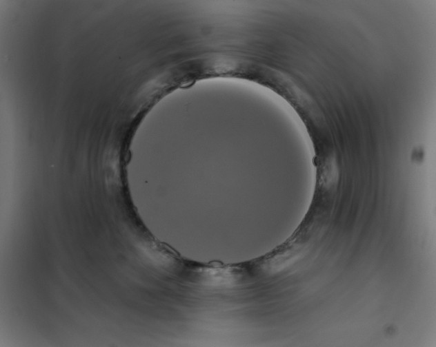 X0000101400524200808041044