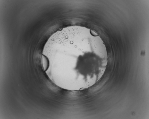 X0000101400527200808041044