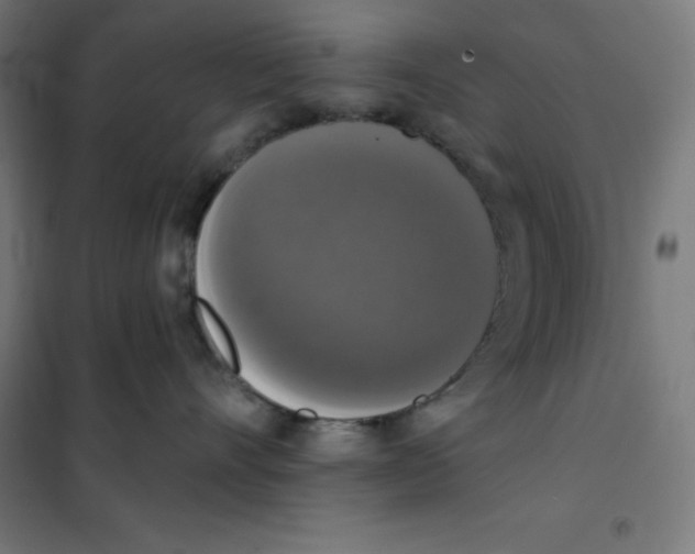 X0000101400528200808041044