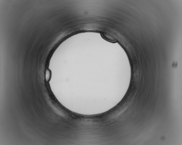 X0000101400530200808041043