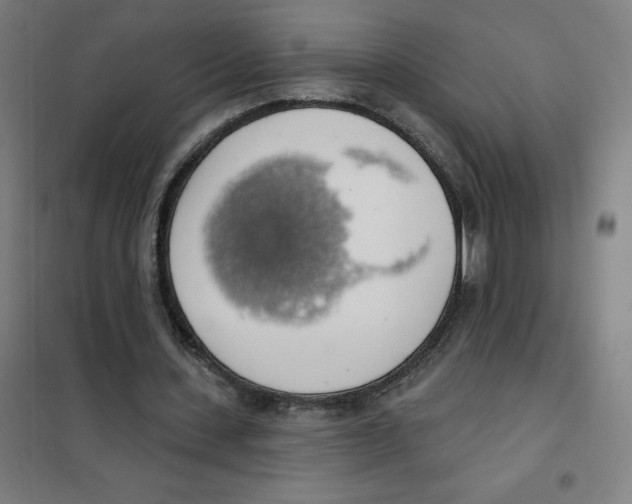 X0000101400531200808041043