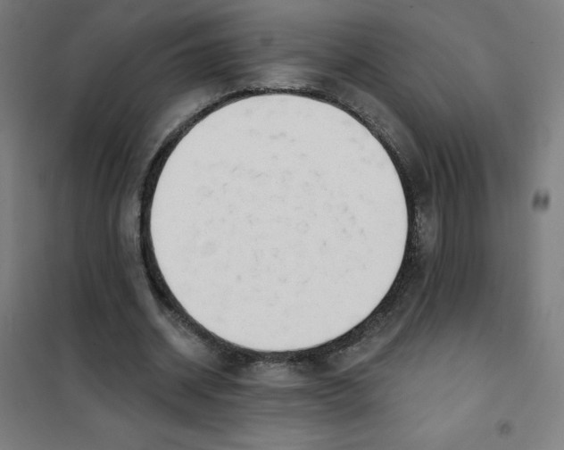 X0000101400534200808041043