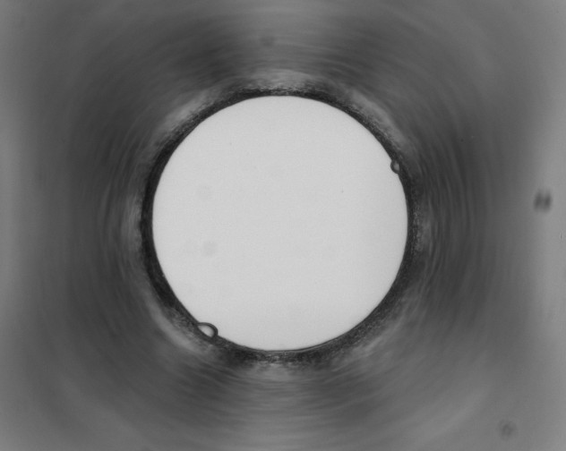 X0000101400538200808041043