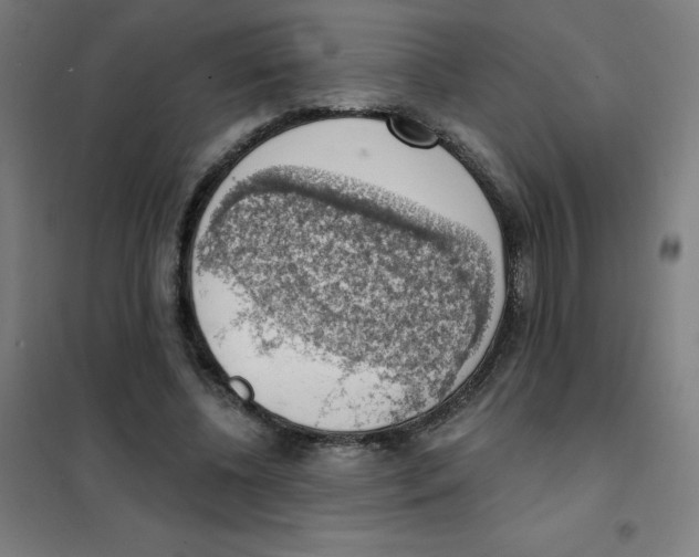 X0000101400540200808041043