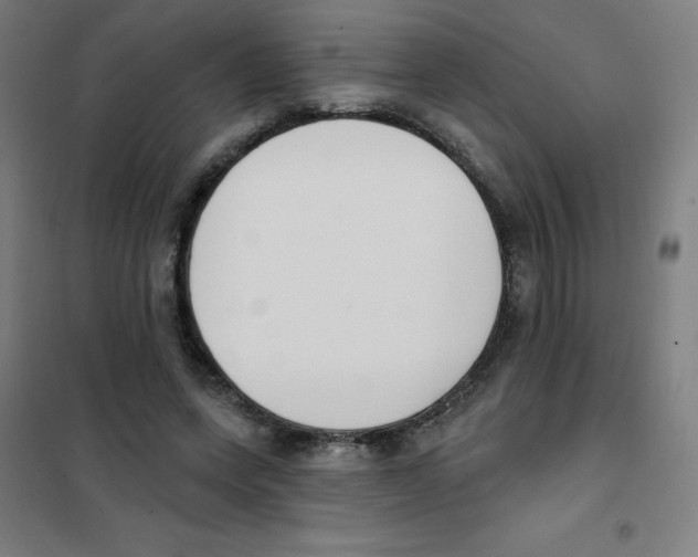 X0000101400543200808041043