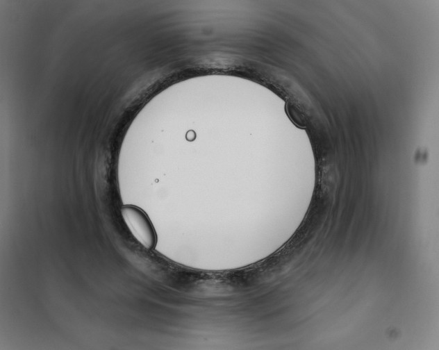 X0000101400544200808041043