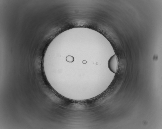 X0000101400545200808041043