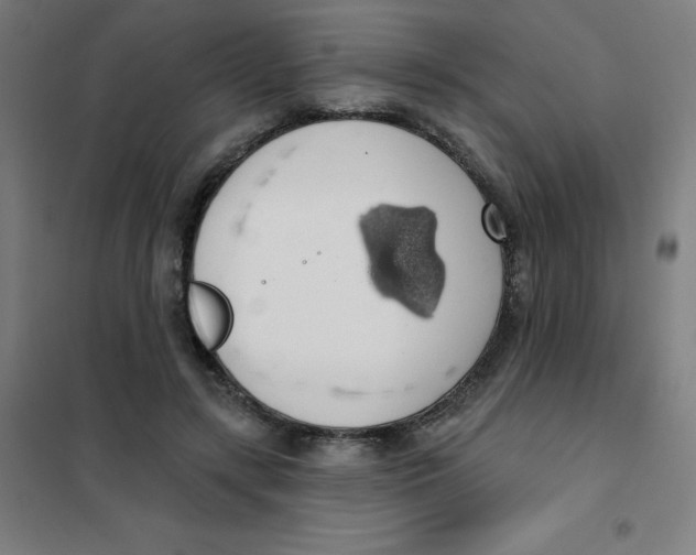 X0000101400547200808041043