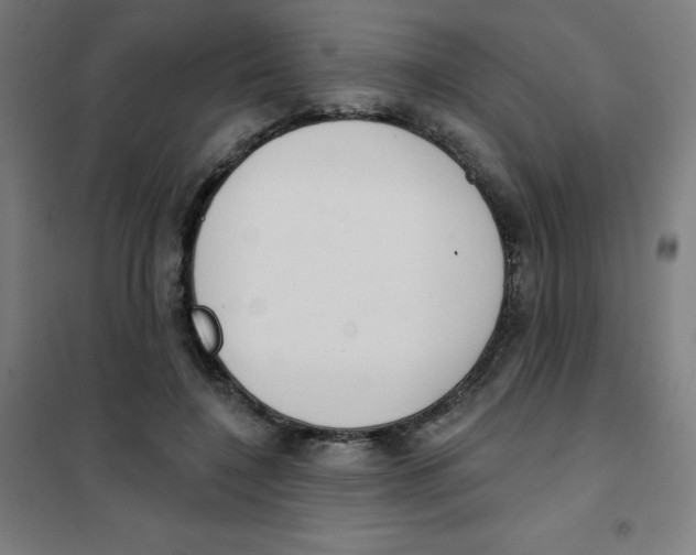 X0000101400548200808041043