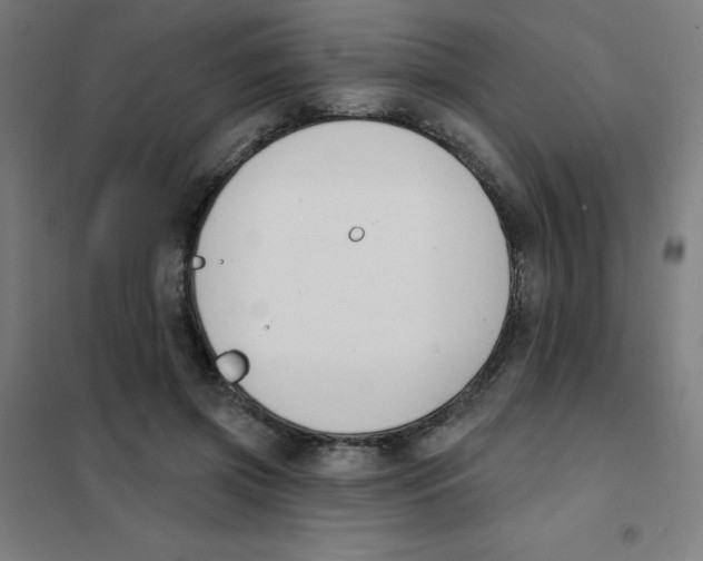 X0000101400549200808041043