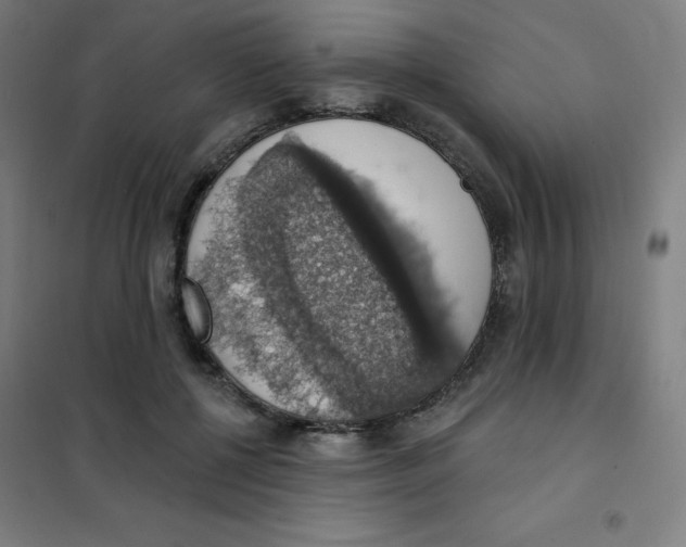 X0000101400552200808041043