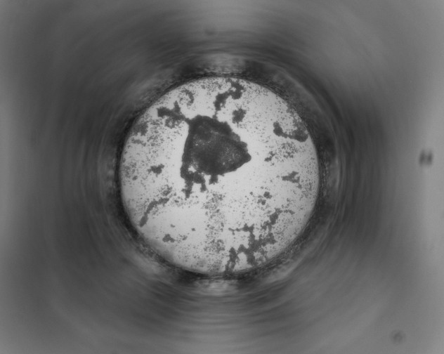 X0000101400553200808041043