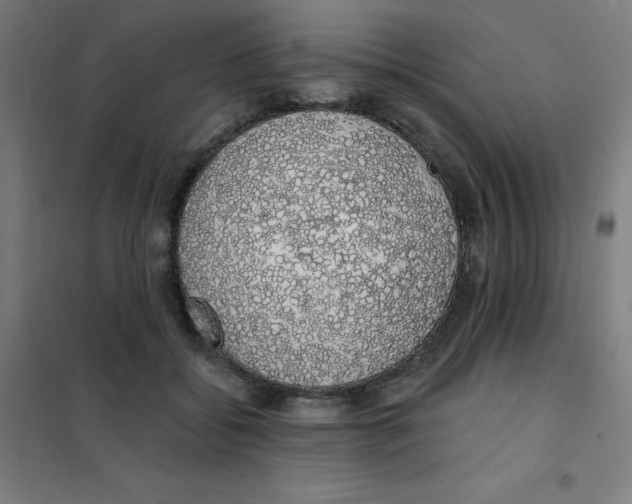 X0000101400556200808041043