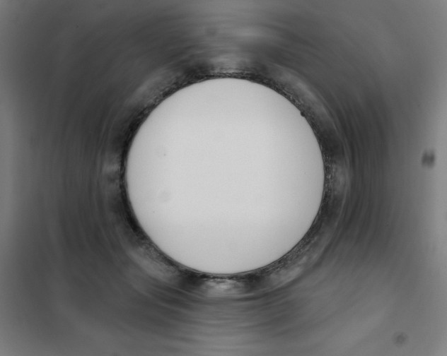 X0000101400557200808041043