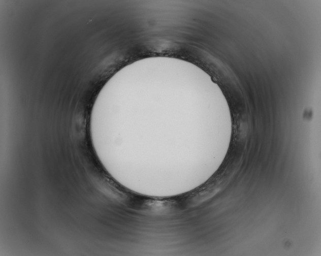 X0000101400558200808041043