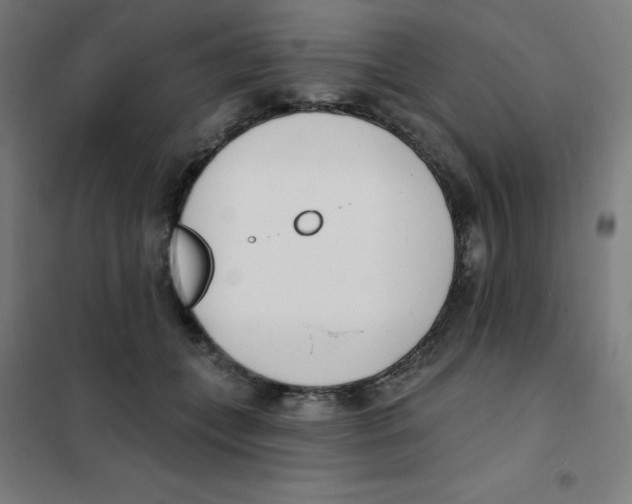 X0000101400559200808041043