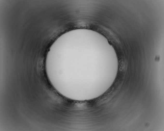 X0000101400560200808041043