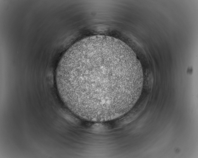 X0000101400562200808041043