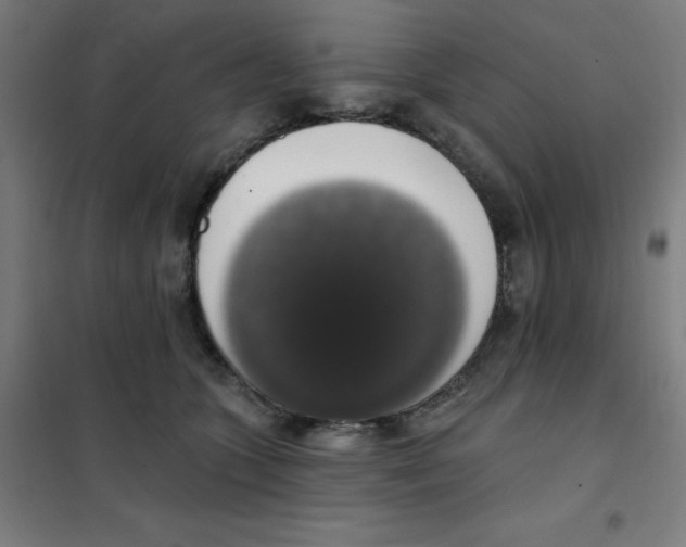 X0000101400563200808041043