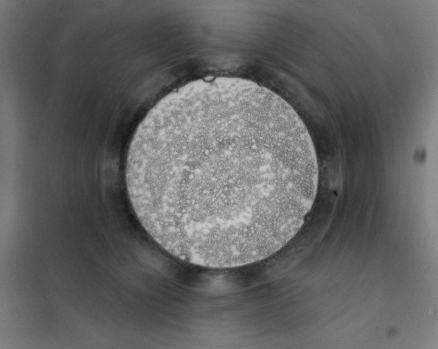 X0000101400564200808041043