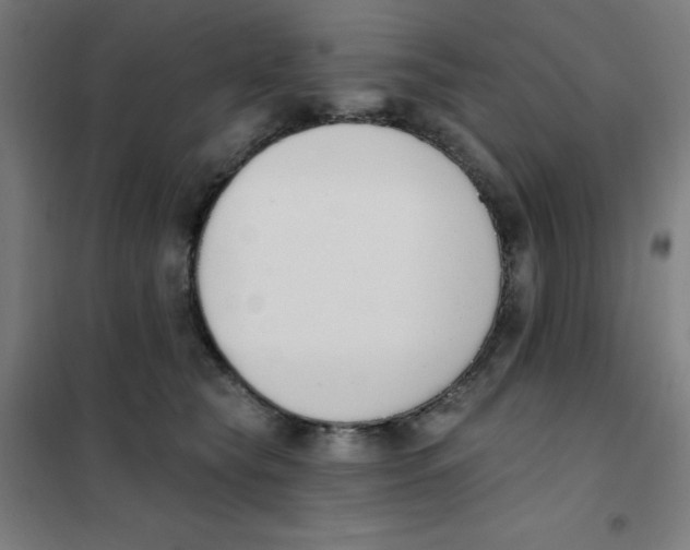 X0000101400565200808041043