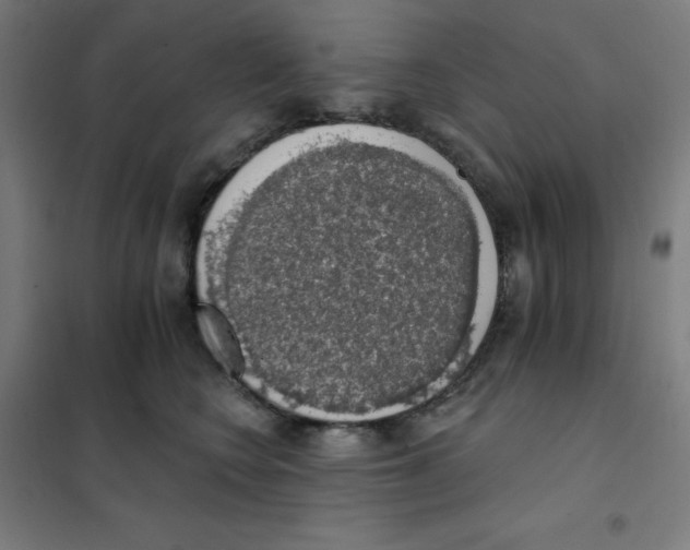 X0000101400566200808041043