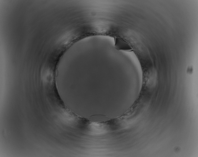 X0000101400568200808041044