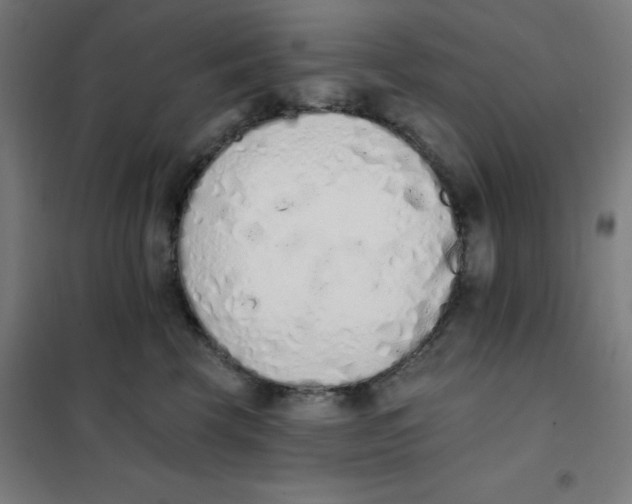 X0000101400569200808041044