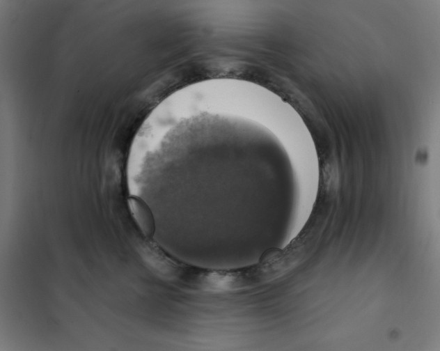 X0000101400570200808041044