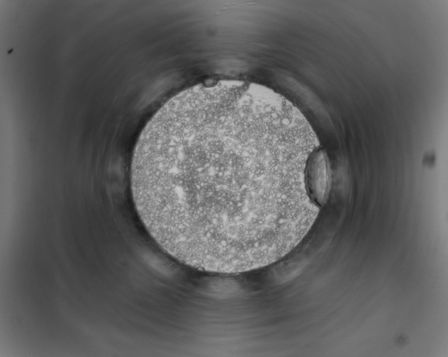 X0000101400572200808041044