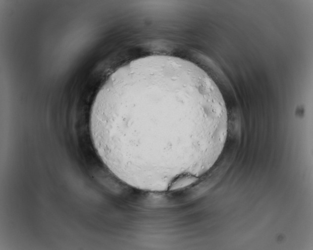 X0000101400573200808041044