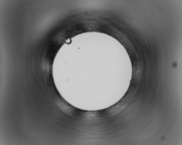 X0000101400574200808041044